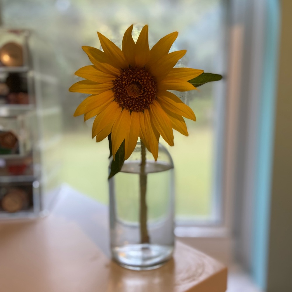 Meet your Posher, Mary